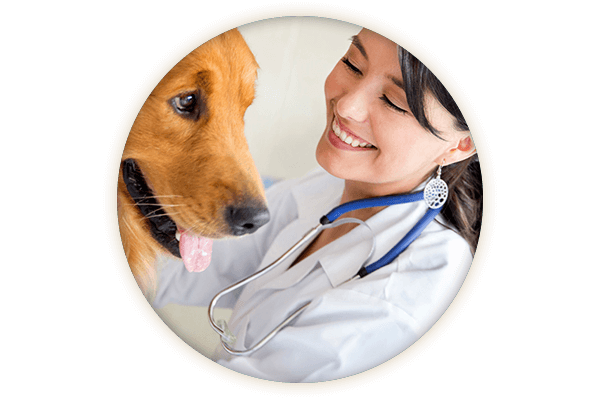Farmacie Veterinara