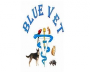 BLUE VET 