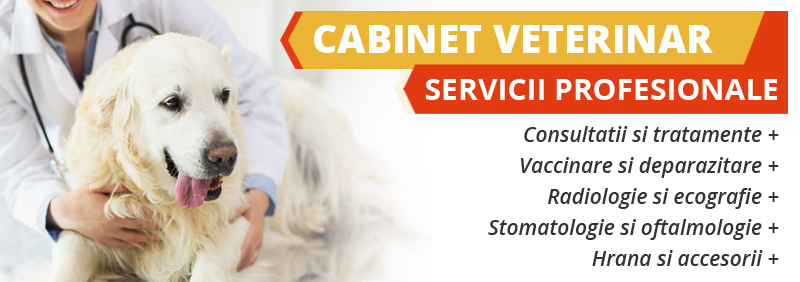 cabinet veterinar non stop sector 3 cabinet veterinar non stop sector 3