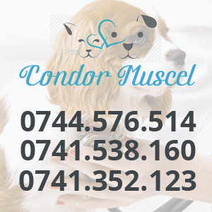 veterinar Campulung Muscel