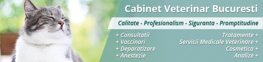 clinica veterinara sector 3 clinica veterinara sector 3