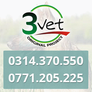 cabinet veterinar Bucuresti sector 1