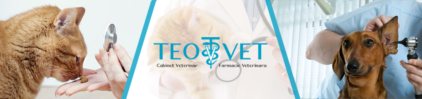 veterinar Suceava veterinar Suceava