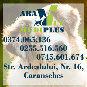 medic veterinar Caransebes