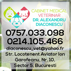 veterniar sector 5