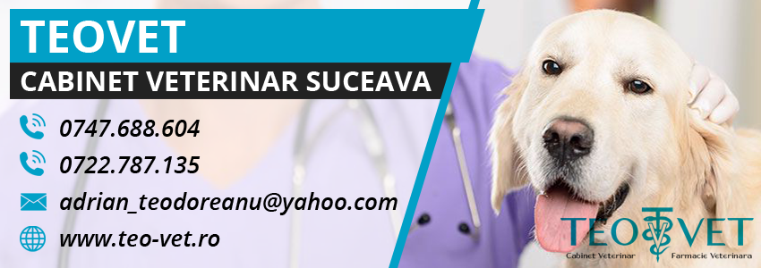 servicii veterinare Suceava servicii veterinare Suceava