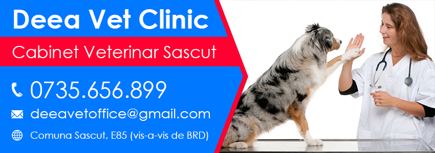 cabinte veterinar Sascut