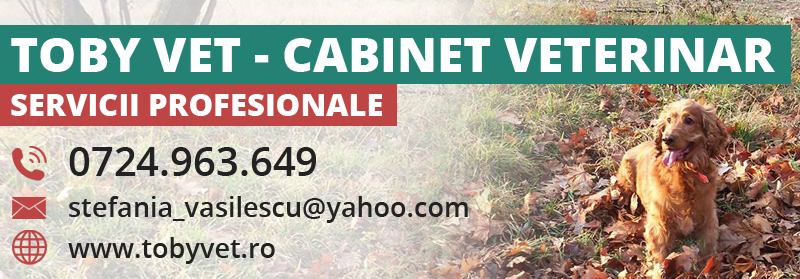 servicii veterinare Dolj