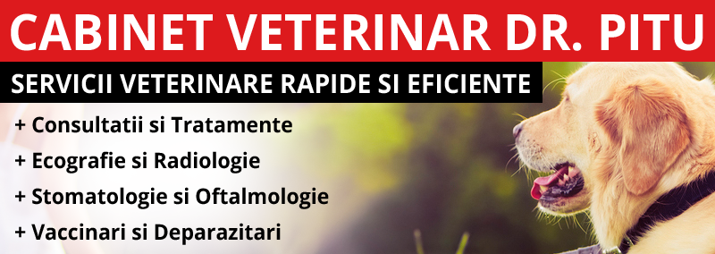 farmacie veterinara