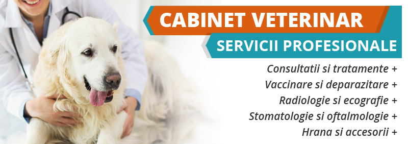 servicii veterinare Ramnicu Valcea servicii veterinare Ramnicu Valcea