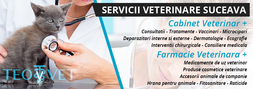 medic veterinar medic veterinar