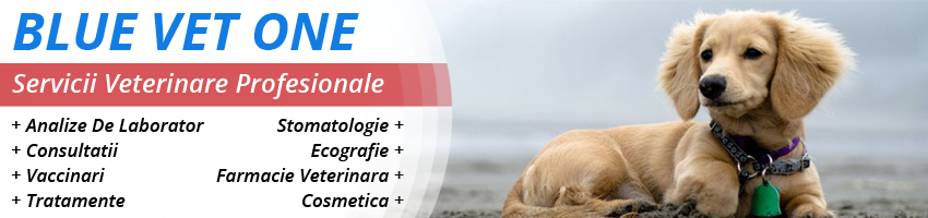 servicii veterinare Constanta servicii veterinare Constanta
