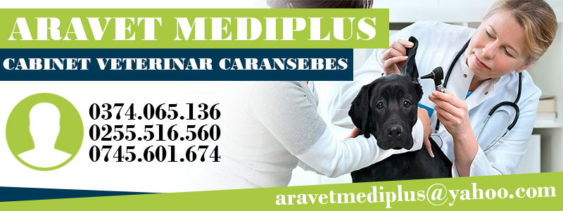 cabinet veterinar caransebes