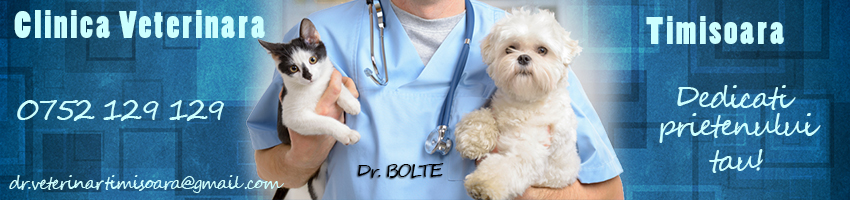 cabinet veterinar timisoara clinica veterinara timisoara