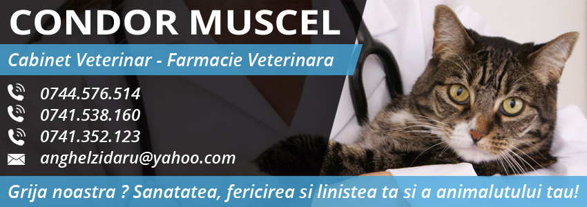medic veterinar Campulung Muscel