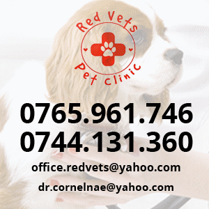 cabinet veterinar Sibiu