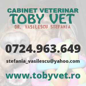 cabinet veterinar Craiova