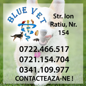 cabinet veterinar constanta