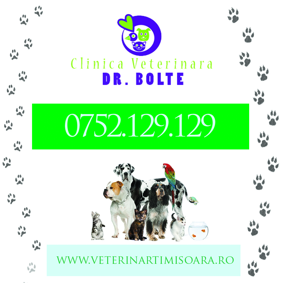 clinica veterinara timisoara