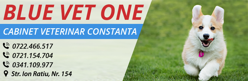 medic veterinar constanta medic veterinar constanta
