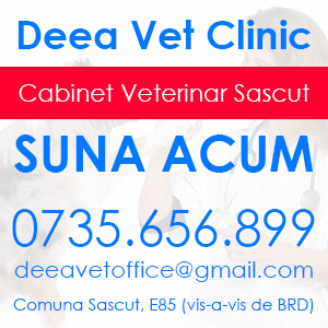 Deea Vet Clinic - Cabinet Veterinar