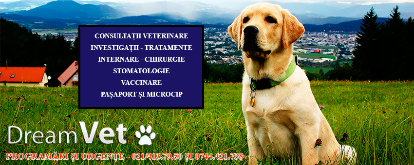 cinica veterinara cabinet veterinar