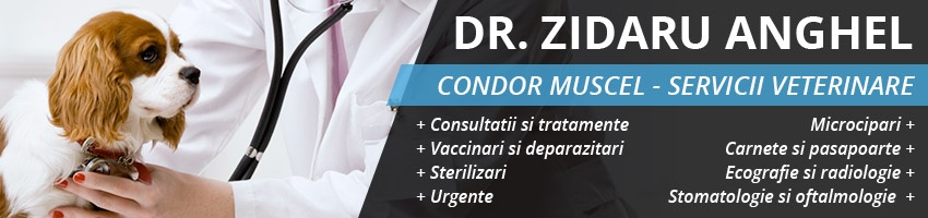 cabinet veterinar Campulung Muscel