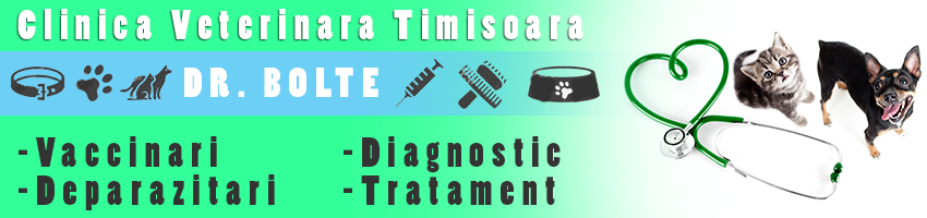 clinica veterinara timisoara medic veterinar timisoara