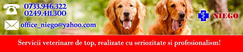 cabinet veterinar Slatina