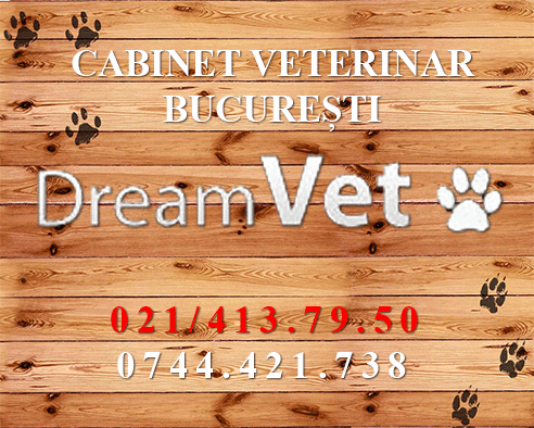 cabinet veterinar bucuresti sector 6