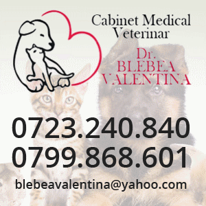 veterinar Calarasi