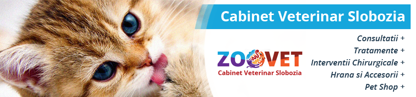 servicii veterinare, consultatii, tratamente