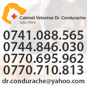 clinica veterinara Satu Mare clinica veterinara Satu Mare