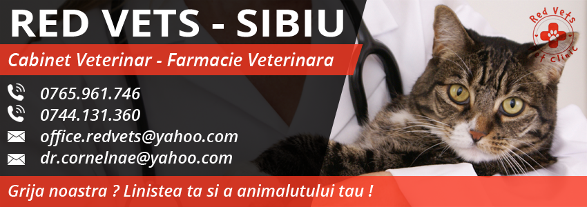 veterinar Sibiu