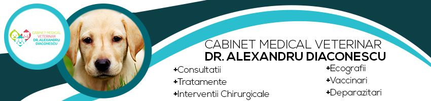 MEDIC VETERINAR sector 5 MEDIC VETERINAR sector 5