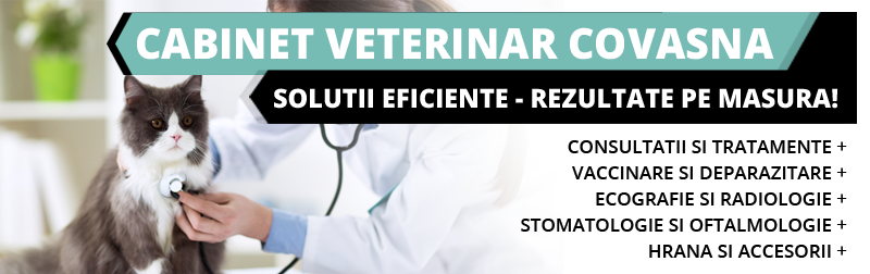 veterinar Covasna