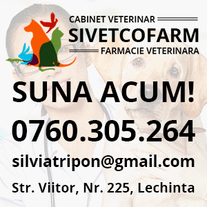 cabinet veterinar