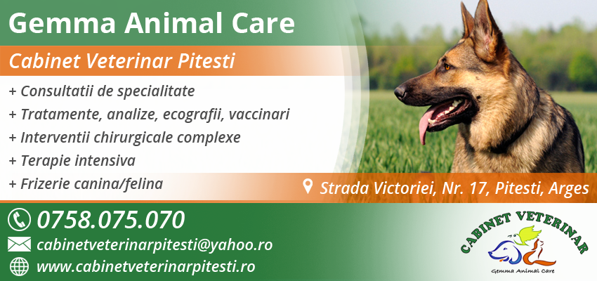 veterinar Pitesti veterinar Pitesti