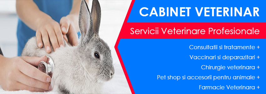 servicii veterinare complete