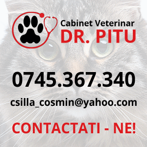 cabinet veterinar