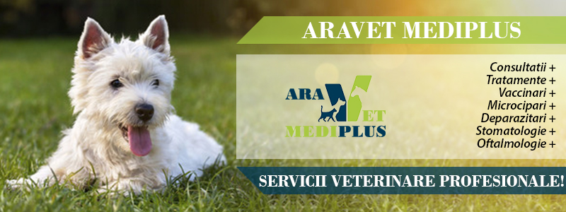 veterinar Caransebes