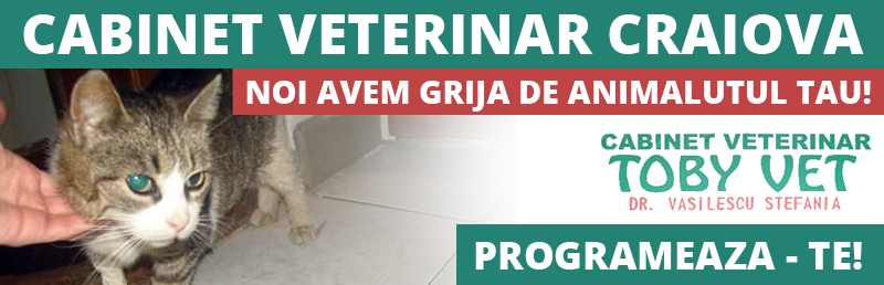 medic veterinar Craiova