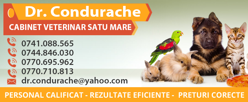 cabinet veterinar Satu Mare cabinet veterinar Satu Mare
