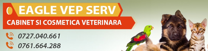 veterinar sector 4 veterinar sector 4