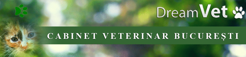 urgente veterinare cabinet veterinar
