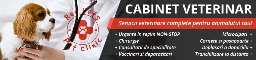 tratamente veterinare Sibiu