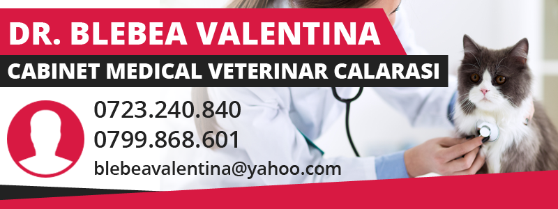 medic veterinar medic veterinar