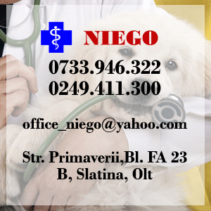 cabinet veterinar Slatina