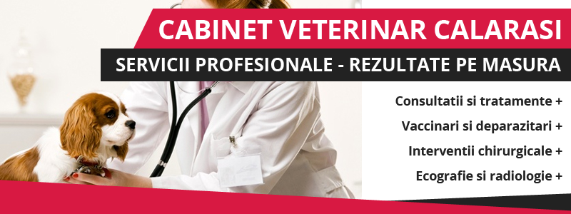 clinica veterinar Calarasi clinica veterinar Calarasi