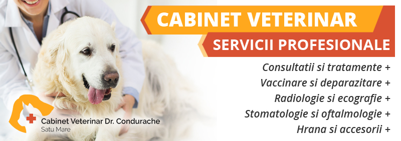 Veterinar Satu Mare Veterinar Satu Mare